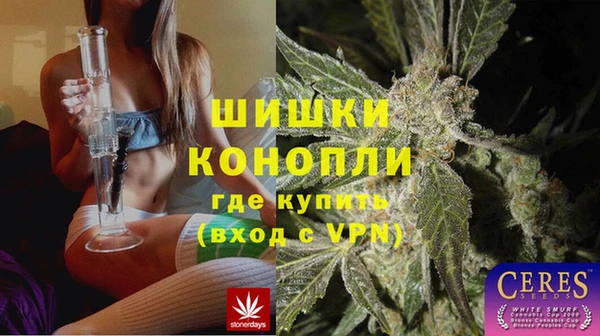 крисы Аркадак