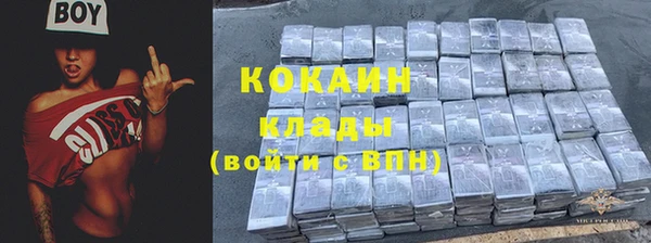 крисы Аркадак