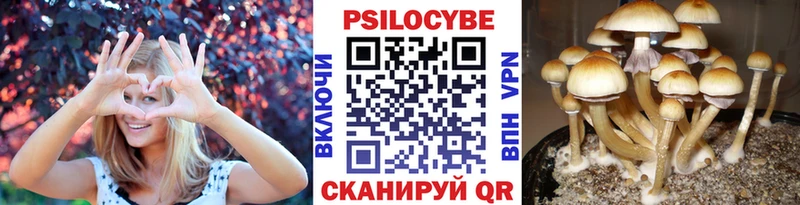 Купить  Меленки  Галлюциногенные грибы мицелий 